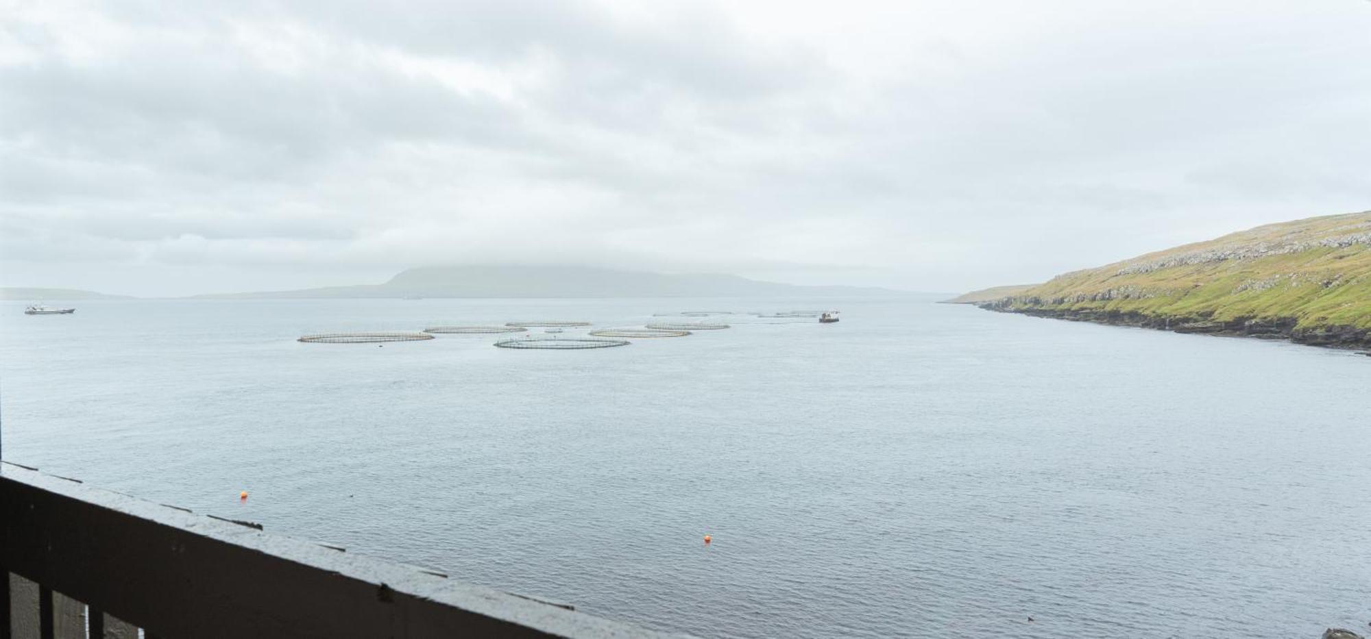 A Tromini Guesthouse Torshavn Exterior photo